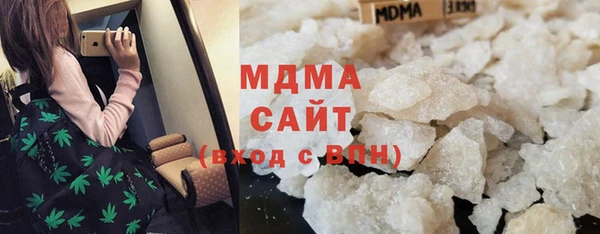 сатива Бородино