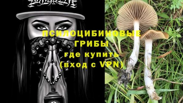 трава Бронницы