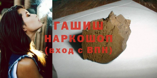 сатива Бородино