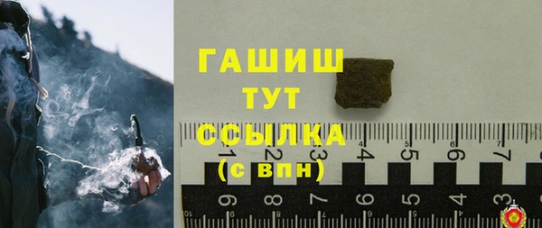 сатива Бородино