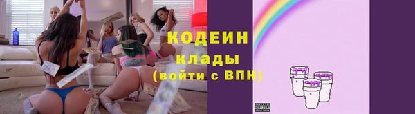 сатива Бородино