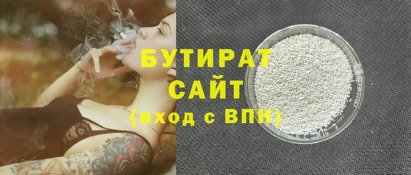 сатива Бородино