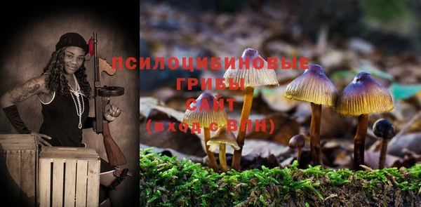 сатива Бородино