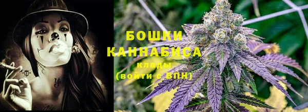 сатива Бородино