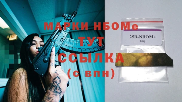 сатива Бородино