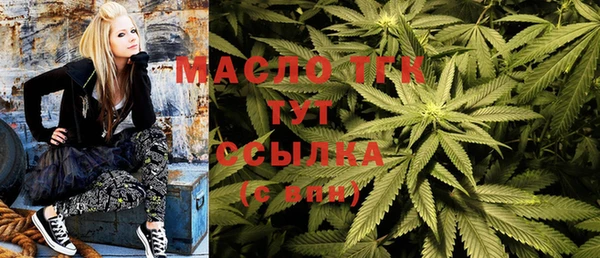 сатива Бородино