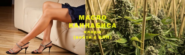 сатива Бородино