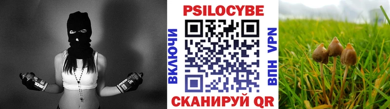 Галлюциногенные грибы прущие грибы Чадан